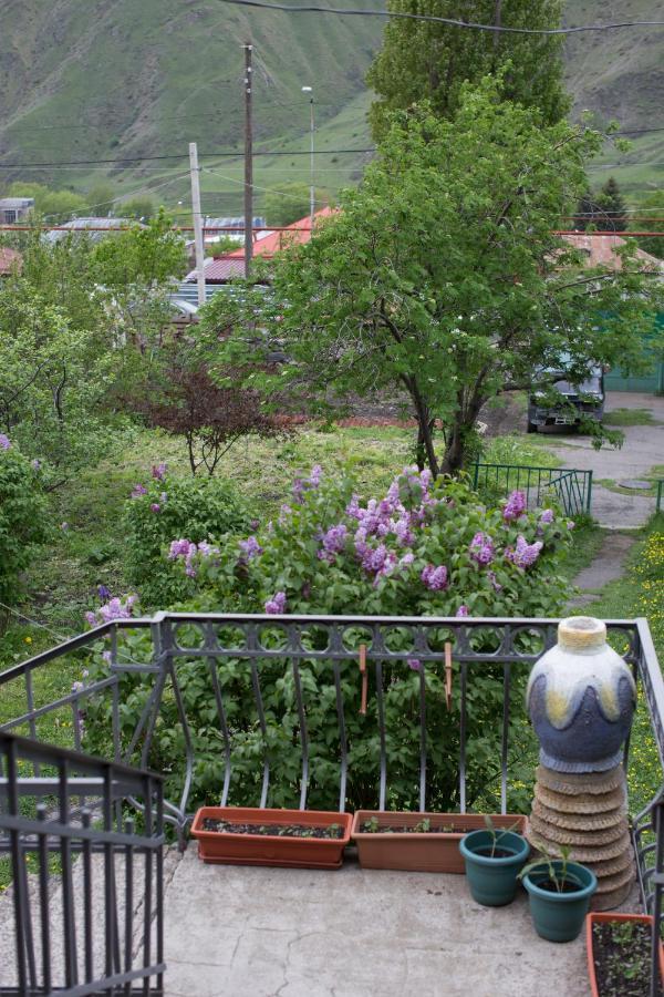 Panorama Kazbegi Hotel Bagian luar foto