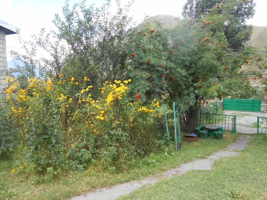 Panorama Kazbegi Hotel Bagian luar foto