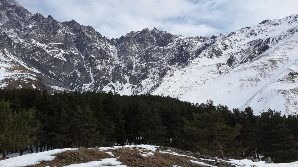 Panorama Kazbegi Hotel Bagian luar foto