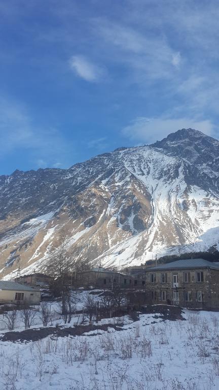 Panorama Kazbegi Hotel Bagian luar foto