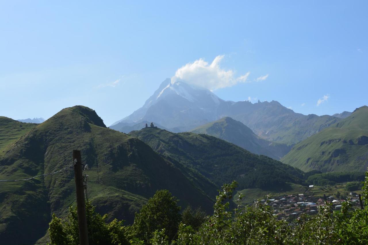 Panorama Kazbegi Hotel Bagian luar foto